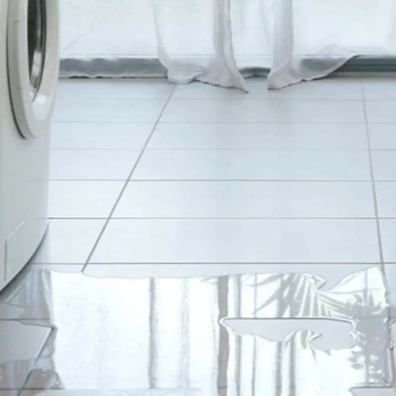 Appliance Leak Cleanup in Las Lomas, CA