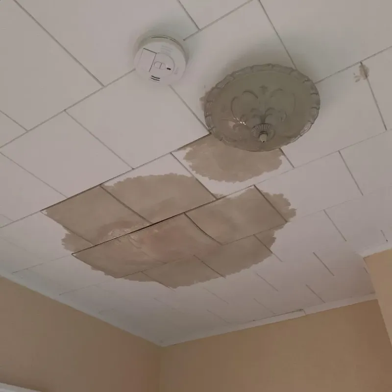 Ceiling Water Damage Repair in Las Lomas, CA