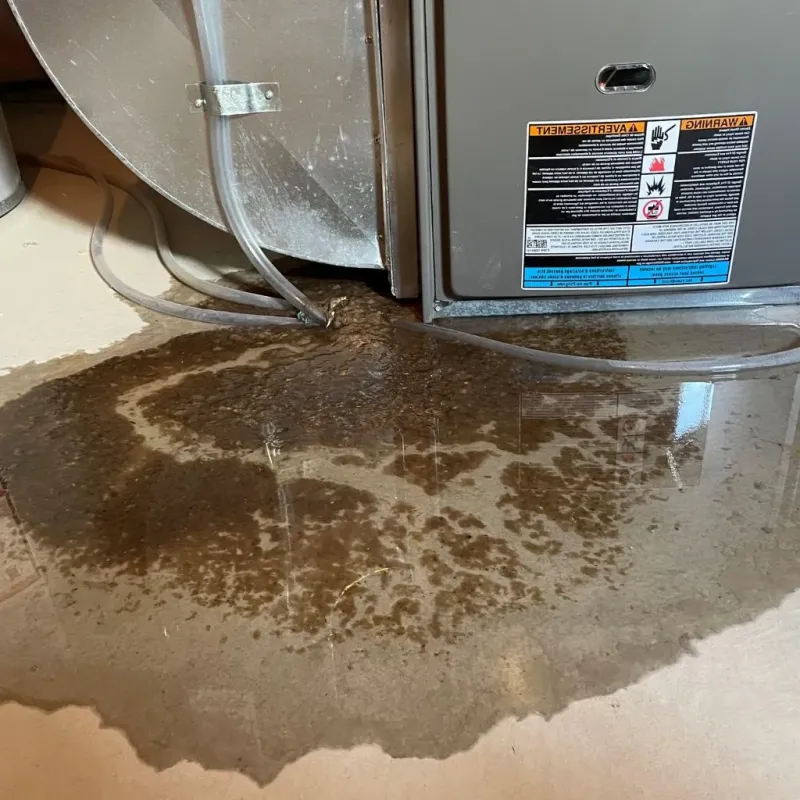 Pipe Burst and Leak Restoration in Las Lomas, CA