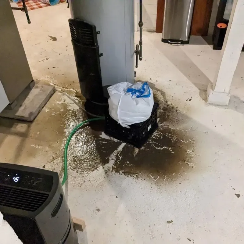 Sewage Backup Cleanup Service in Las Lomas, CA